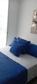 Colibrí cafeterito - 4