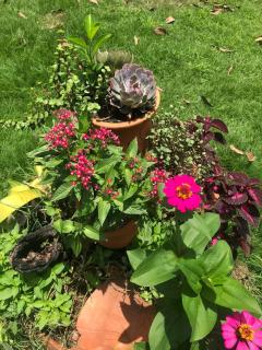 Mi casita de Campo en Bayaguana - 7