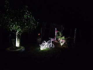 Mi casita de Campo en Bayaguana - 2