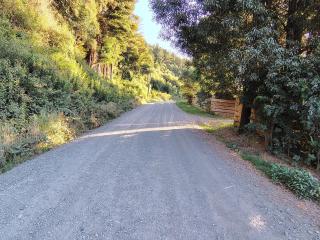 Cabaña Valdivia - 8