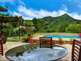 Villa Privada con piscina soleada - 2