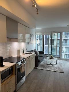 Luxury Condo Downtown Toronto - 3
