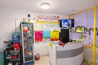 Free Spirit Experience Guadalajara Centro - 5