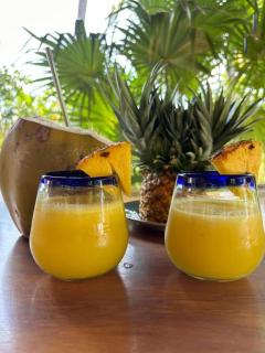 Private Room Steps to Beach Tropical Garden Retreat Breakfast Included - 5