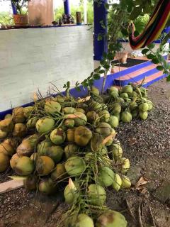 Steps to Secluded Beach Breakfast Included Private Room in Punta Perula - 3