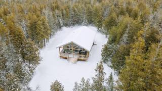 Woodland Cottage Quiet Bruce Peninsula Retreat - 8