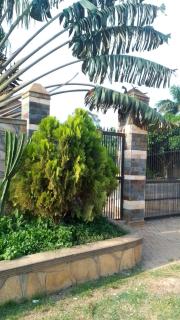 Shoebill Roost Posada - 9