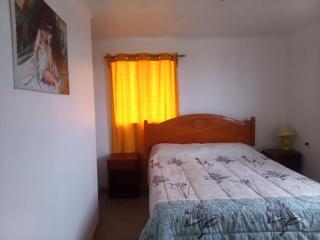 Cabaña en el centro de un huerto - 3