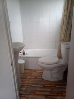 Cabaña en el centro de un huerto - 2