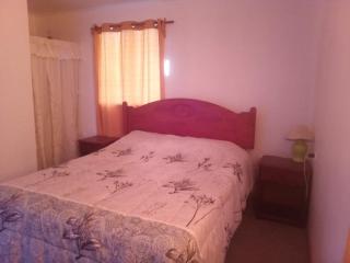 Cabaña en el centro de un huerto - 0