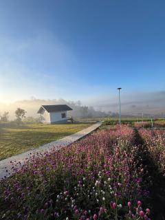 สวนไร่รุ่งอรุณ Suan Rai Rungarun - 6