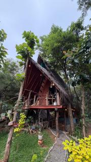 Sigiri Hunter's Eco Tree lodge - 9