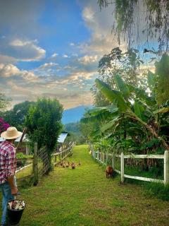 Finca Agrópolis de Silvania - 1