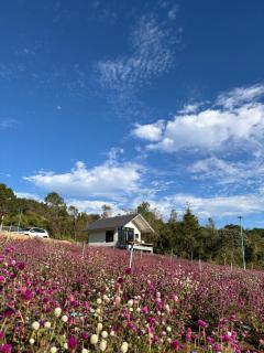 สวนไร่รุ่งอรุณ Suan Rai Rungarun - 7