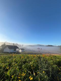 สวนไร่รุ่งอรุณ Suan Rai Rungarun - 8