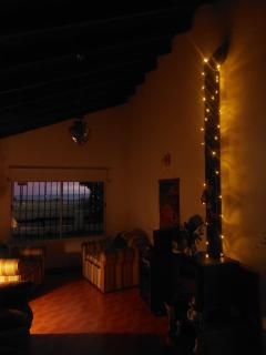 el maiten - 8
