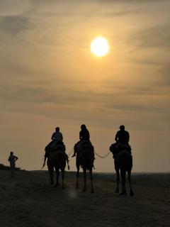 Explore Hostel Life Jaisalmer - 1