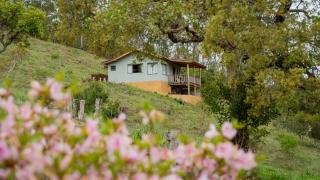 Hospedagem Colinas Chalé 2 - 7