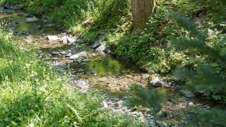 Gapyeong Cheongchun Glamping & Caravan - Gapyeong - 9