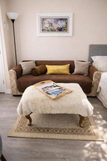 Downtown Ann Arbor Walk to Stadium, Medical Center, UM - 9