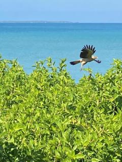 Cabaña Azores, Barú, Cartagena - 9