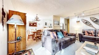 Rustic Summit 237 On Free Shuttle Route - 3