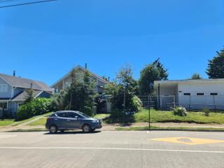 Hortensias del Lago - 9