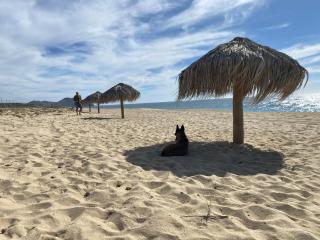 Villa Gardenia - Oceanview Villas w Pool - 8