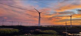 Jeju Noeul Bori Pension - 5