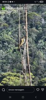 Sitio Charmoso nas Montanhas Capixabas - 8