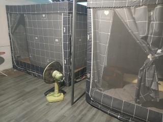 Kalaland camp patong - 7