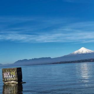 Como florcita en la mata - 6