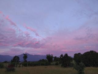 Como florcita en la mata - 3