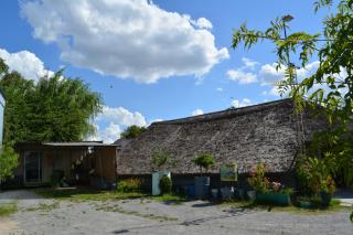 Complejo Orejano - 9