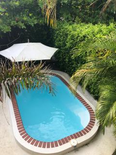 Casa Toucan mit privat Pool near NP Ballena - 2