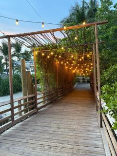 Departamentos Frente al Mar en Ixtapa - 8