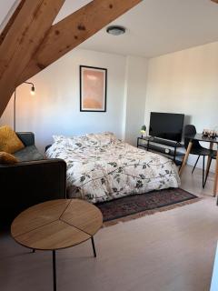 Bright apartment incl workplace near the city center - 9