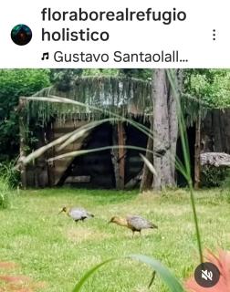 Refugio Holístico Flora Boreal - 8
