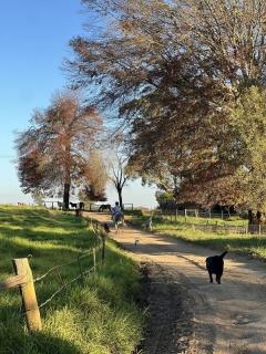 Modern Farm-Style Cottage with Fireplace & Garden - 9