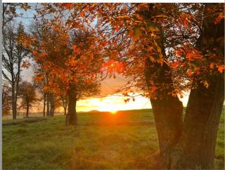Modern Farm-Style Cottage with Fireplace & Garden - 8