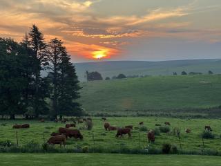 Modern Farm-Style Cottage with Fireplace & Garden - 4