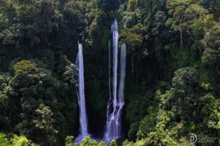 Sekumpul Guest House - 9