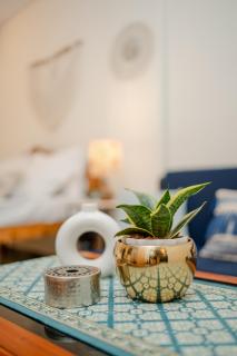 1BHK Private Goan Cottage in a Peaceful Palm Grove - 5