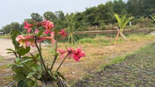 The wooden house, peaceful place in Nhon Trach IoStayhome - 4