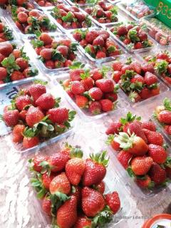 SENJA by Rumah Chematsunami - 2