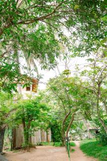 3 in One Mirissa - 5