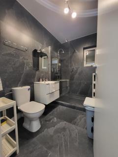 Apart 1 Dragonul Rosu - Spital Fundeni - 6