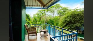 Hilarious Garden Ooty - 7