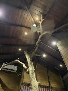 3 in One Mirissa - 1