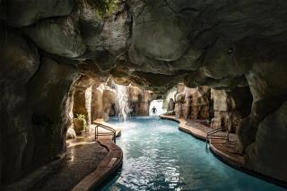 Hyatt Regency Grand Cypress Resort - Free Shuttle to Theme Parks! - 6